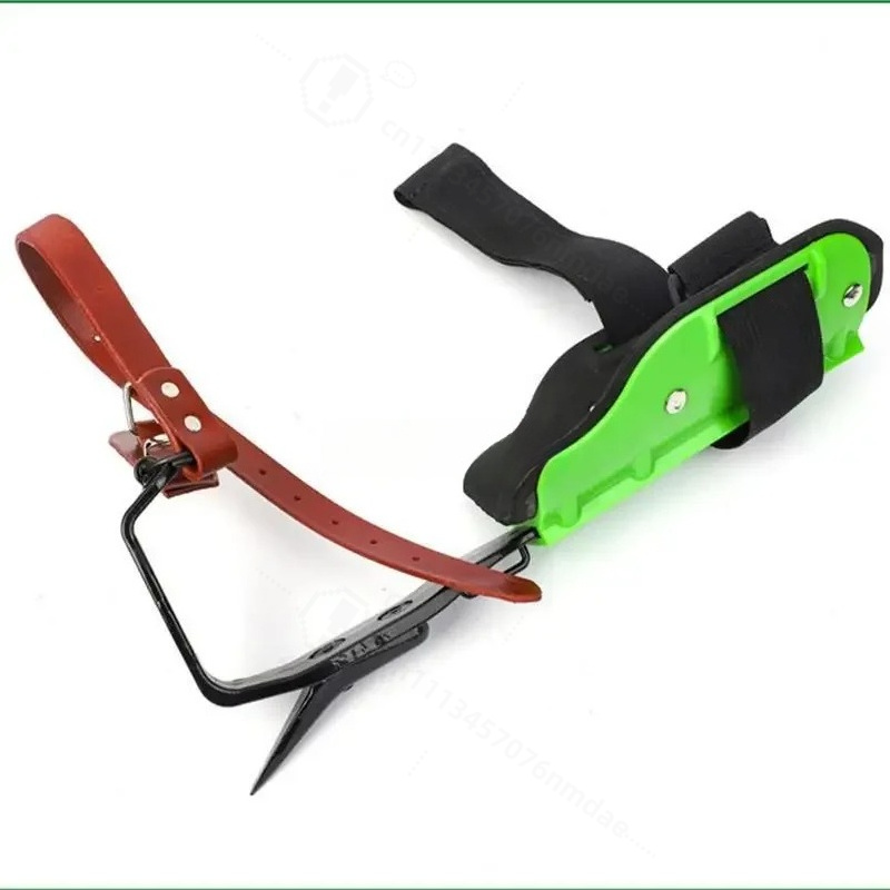 鋳鋼製グリーンプラスチック製ツリークライミングシューズ、登山 - Shoe Tree のレビューと価格