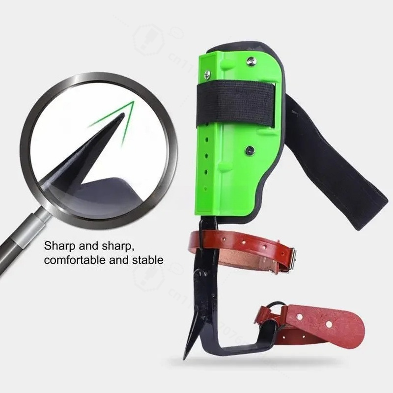 鋳鋼製グリーンプラスチック製ツリークライミングシューズ、登山 - Shoe Tree のレビューと価格